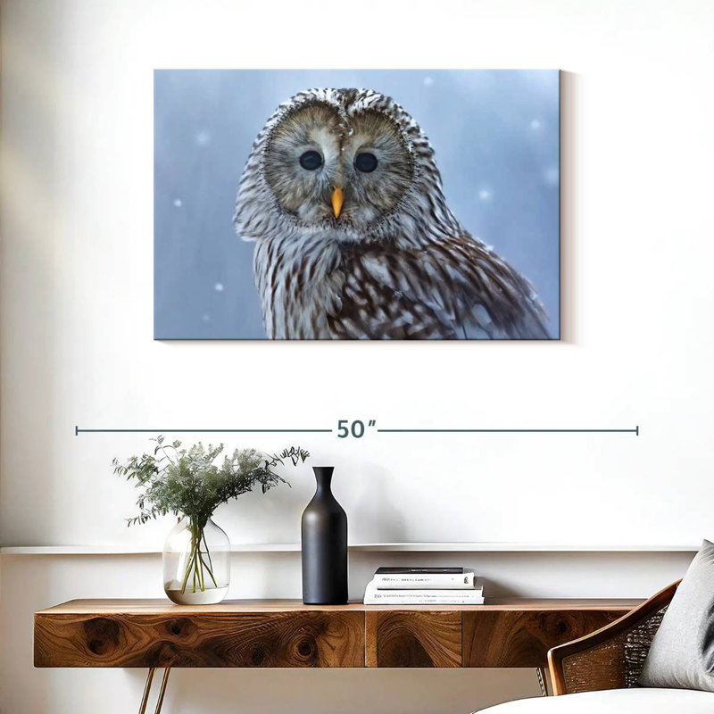 Chouette de l'Oural Brampt dans la neige, H 24 po x l 36 po