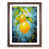 Walnut Framed