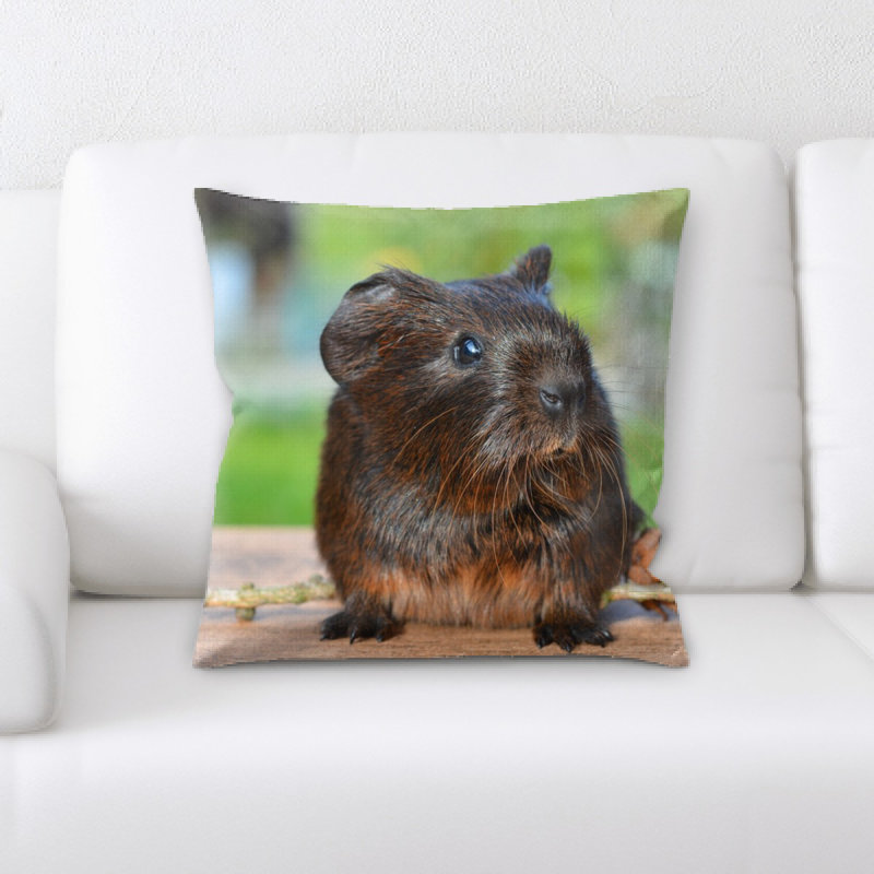 Coussin de cobaye guinée
