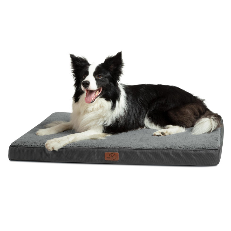 Lit orthopédique pour chien - Housse imperméable pour animal en mousse avec caisse lavable amovible, Gris / Crème