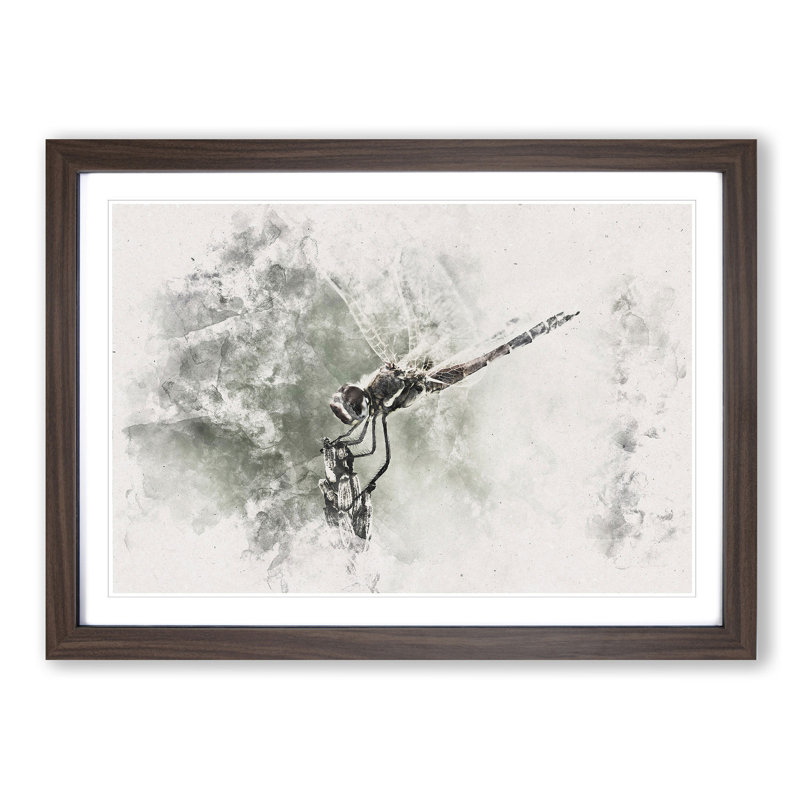 Perched Dragonfly - Picture Frame Painting Print, 24cm H x 33cm W x 2cm D, Walnut Framed
