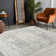 Brambach Power Loom Light Grey/Beige Rug