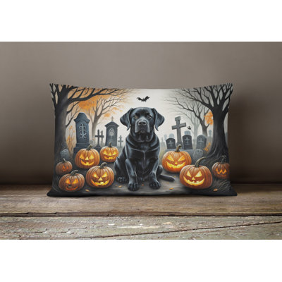 Other/No Pattern Outdoor Throw Pillow