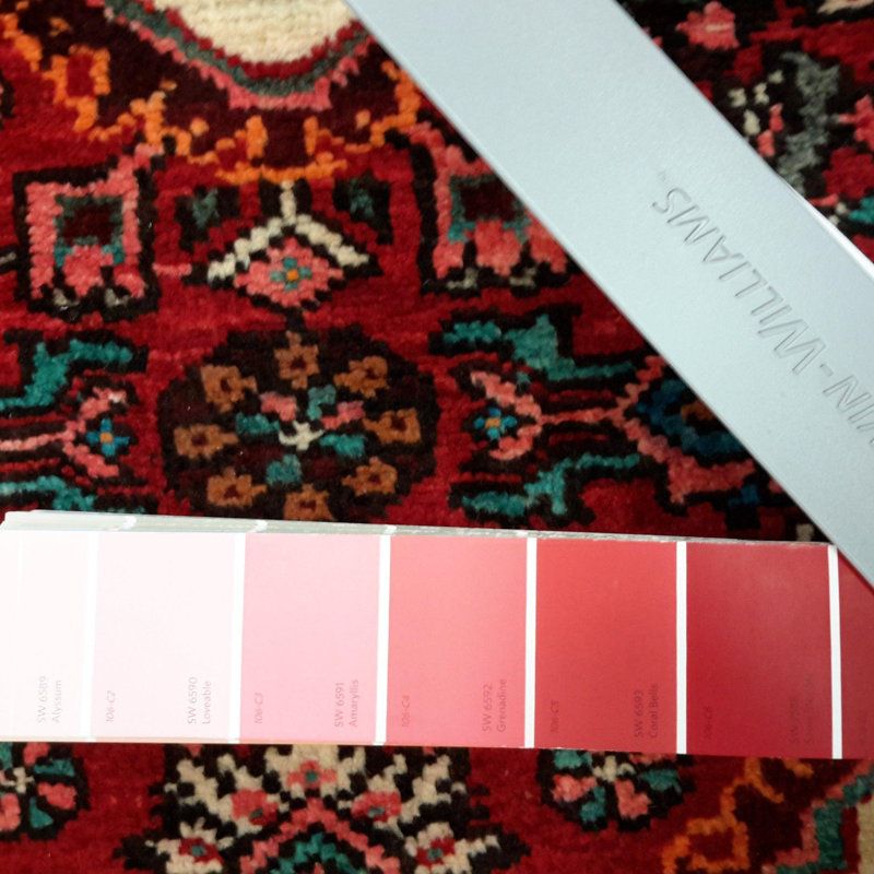 Poock Oriental Area Rug in Red