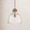 Zander Single Light Glass Steel Dimmable Pendant