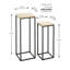 Adamarys Plant Stand - Set of 2