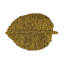 Leaf Seagrass Placemat - Set of 4-665180083