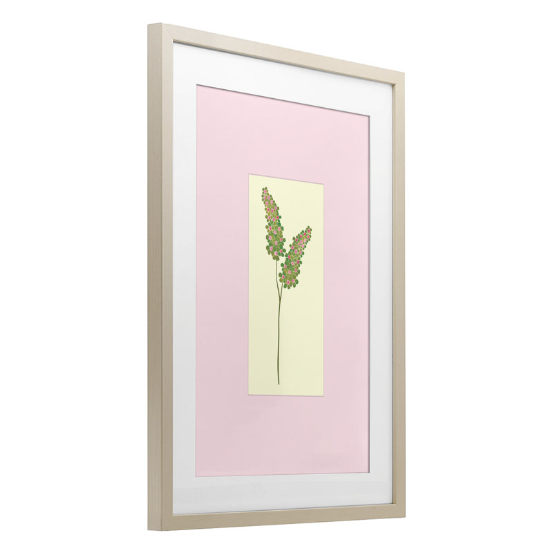«Herb Sprig over Pink», reproduction encadrée sous verre, conception de Pooja Dave, Cadre de récolte en pin