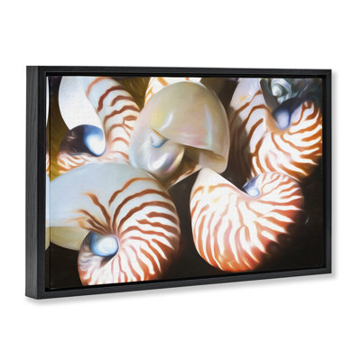  Nautilus Shells Cluster Framed Floater Canvas by Graffi*tee Studios