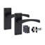 Latch Handle with Backplate