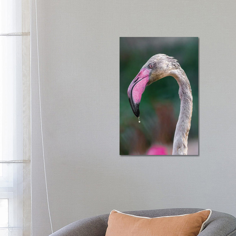 Bird Love by Goran Anastasovski - Wrapped Canvas Print, 66.04 cm H x 45.72 cm W x 3.175 cm D