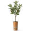 Arbre artificiel en fleur noire et blanche-104345528