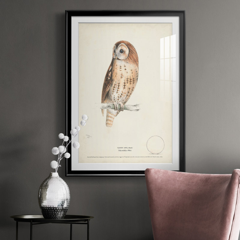 Tawny Owl - reproduction de cadre photo, H 36,5 po x l 26,5 po x P 1 po, Cadre noir