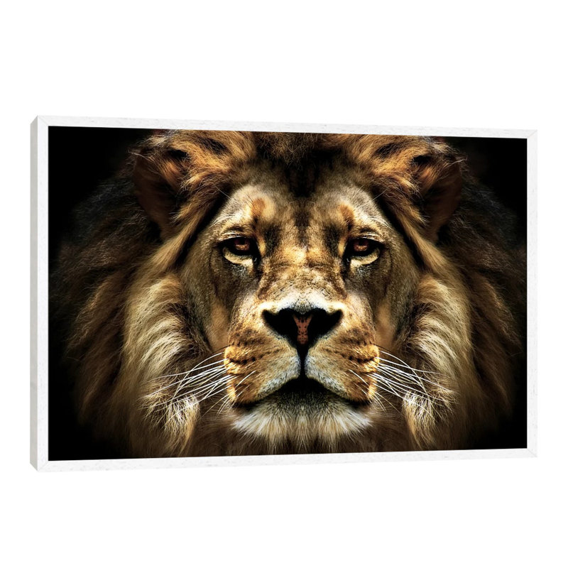The Lion by SD Smart - Floater Frame Painting on Canvas, White Framed, 152.5 cm H x 101.5 cm W