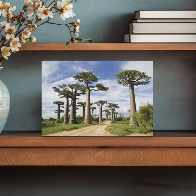 Baobab Trees Along A Dirt Road, Avenue Of The Baobabs, Morondava, Madagascar Abstract Contemporary Landscape Nature Wall Art