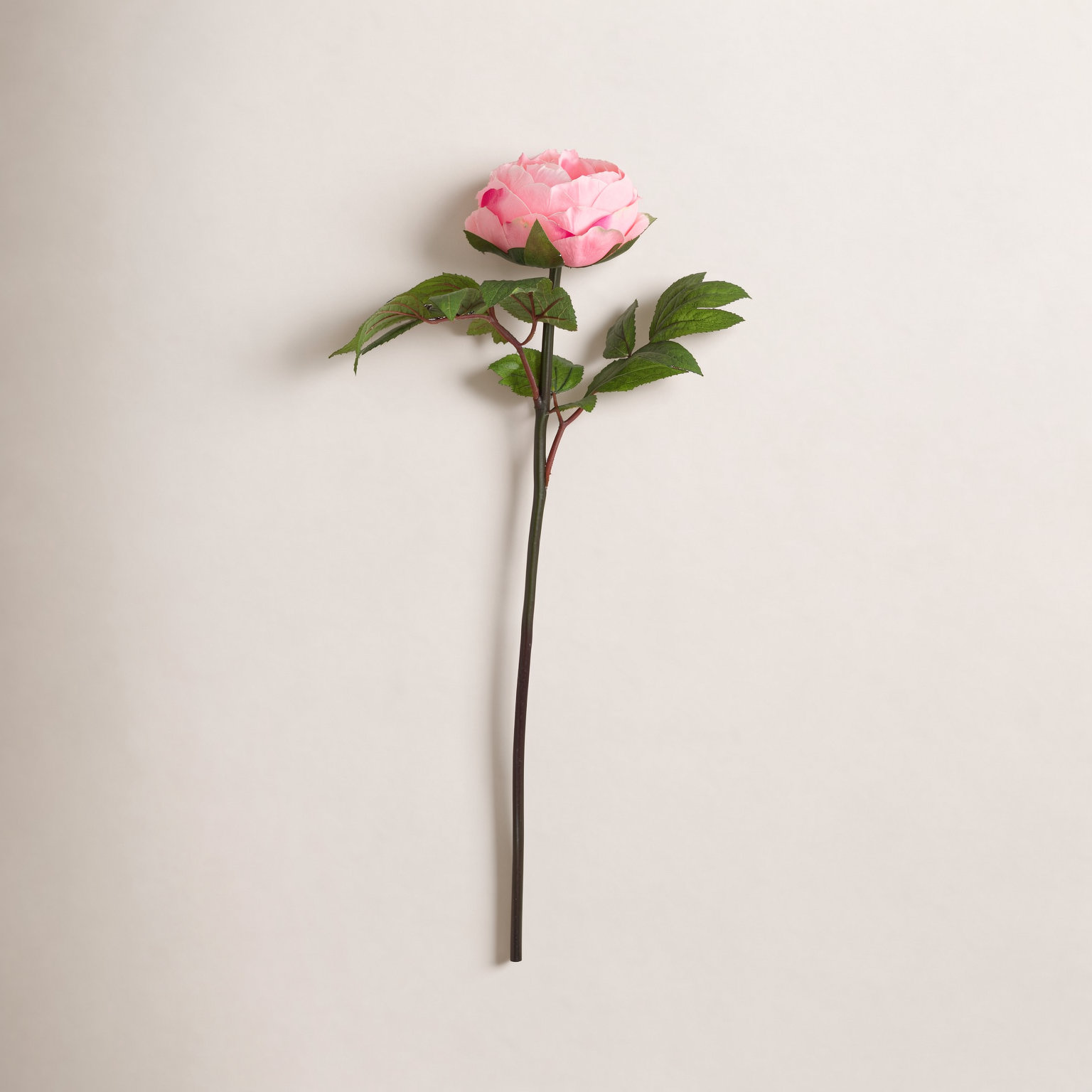 Peony Floral Stems, Light Pink