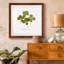 «Pressed Clover I», reproduction encadrée de qualité supérieure - prête à être accrochée-1872557685-1872557676-1872520561