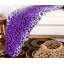 Couverture luxueuse à imprimé zébré-703814842-703814844