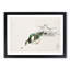 Eastern Turtle Dove by Numata Kashu - Picture Frame Painting Print-55732566-55732563