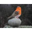 Harbour Animals UV Resistant Plastic Garden Statue