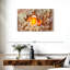 Anémone Clownfish-765367652