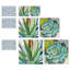 Brilliant Succulents I/II by Norman Wyatt Jr. - Wrapped Canvas Print Set-28142649-103282079-107083914