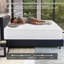 Matelas hybride à ressorts 8 po-1811333419-1811333421