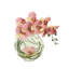 Fuchsia Orchid with Vine in Water