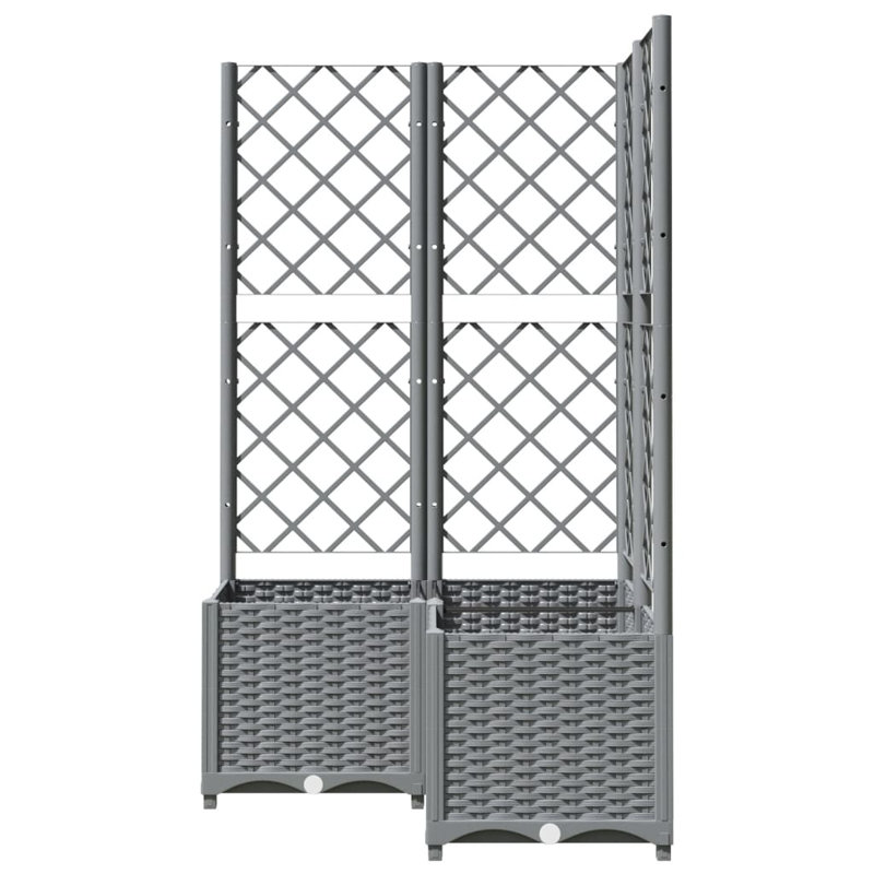 Chanique Raised Garden Bed with Trellis