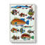Exotic Fish Illustration - Wrapped Canvas Painting-55313789