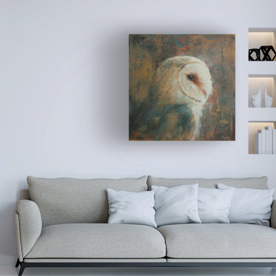 Animals Barn Owl 1 On Canvas Print