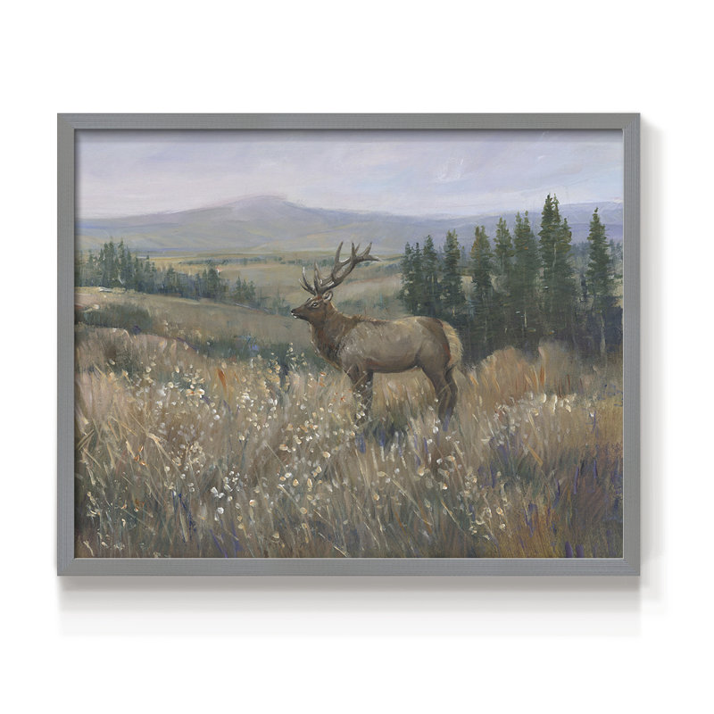 Western Wildlife II -Framed Print - Restickable, Gris, H 22 po x l 28 po