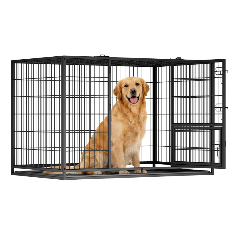 Caisse pour chien robuste avec plateau amovible, H 48,3 po x l 29,33 po x P 31,69 po