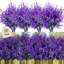 Arrangement-912175207