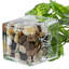 Ensemble de 3 plantes artificielles en verre