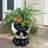Muggly's 2 Piece Biker Dude and Babe in Motorcycle Attire Statue Planter Set