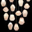 Natural Inspirations 15 - Light Chandelier-50334252