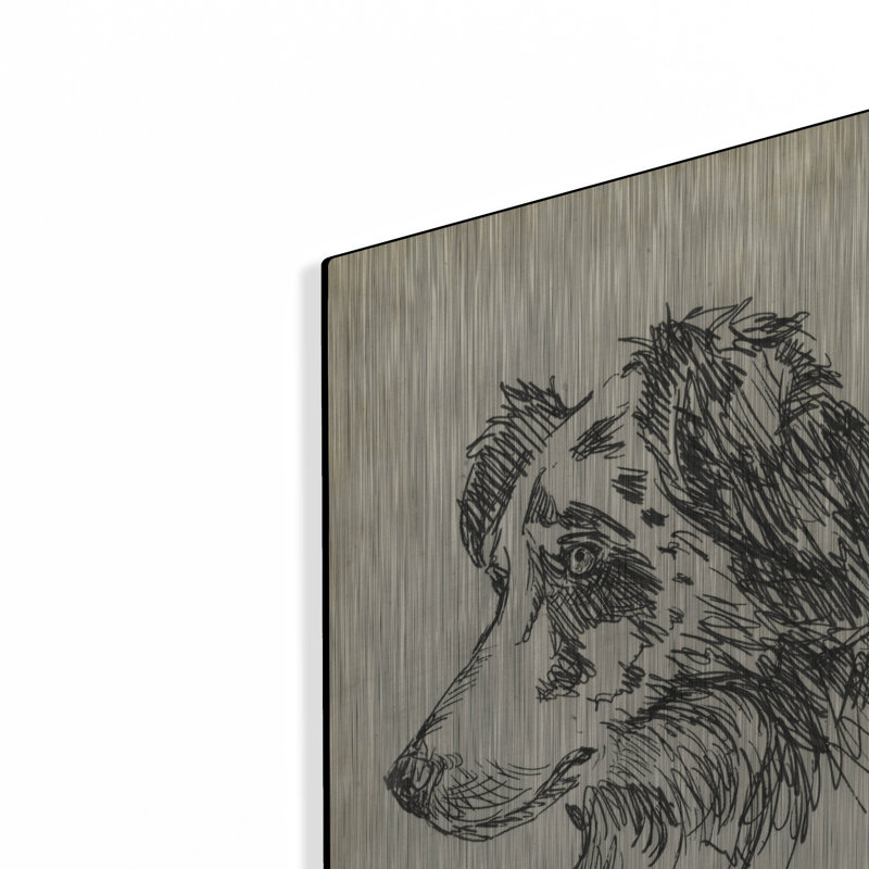 «Breed Study 11» par Ethan Harper, H 24 po x l 16 po