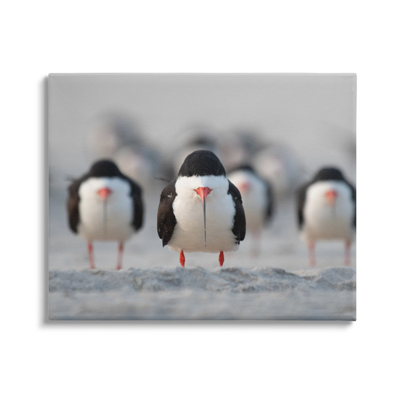 «Black Skimmer Gang» par Ke Qiang Ruan, H 30 po x l 40 po x P 1,5 po