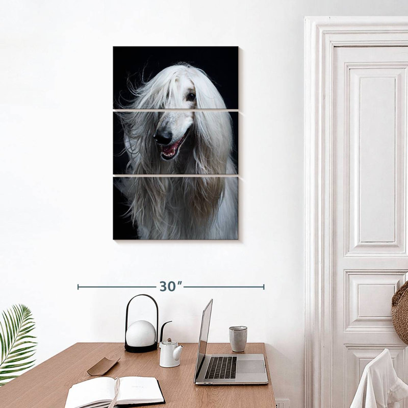 Brampt Long Haired Afghan Hound, 32" H x 20" W