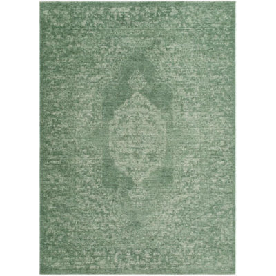 Cyrus Machine Woven Indoor Area Rug