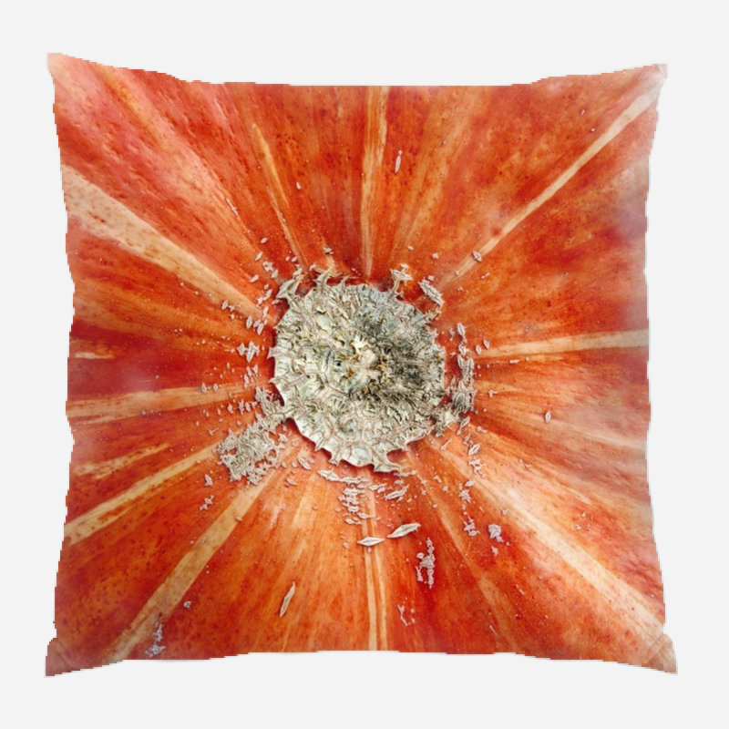  Coussin intérieur / extérieur Squash