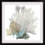 « Coral » par Aimee Wilson - reproduction d'impression sur toile tendue-515388065-403207867-403263568