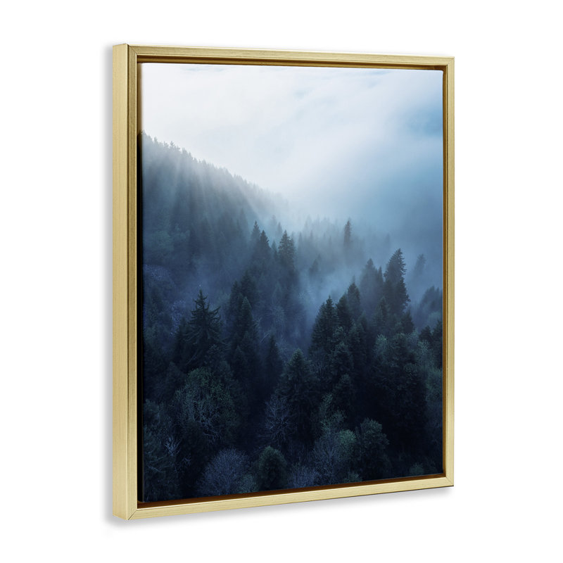 Art mural sur toile "Daylight over Pine Forest" par unsplash, H 21 po x l 17 po, Cadre flottant métallique doré