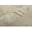 Grafton Wool Floral Area Rug-933419770