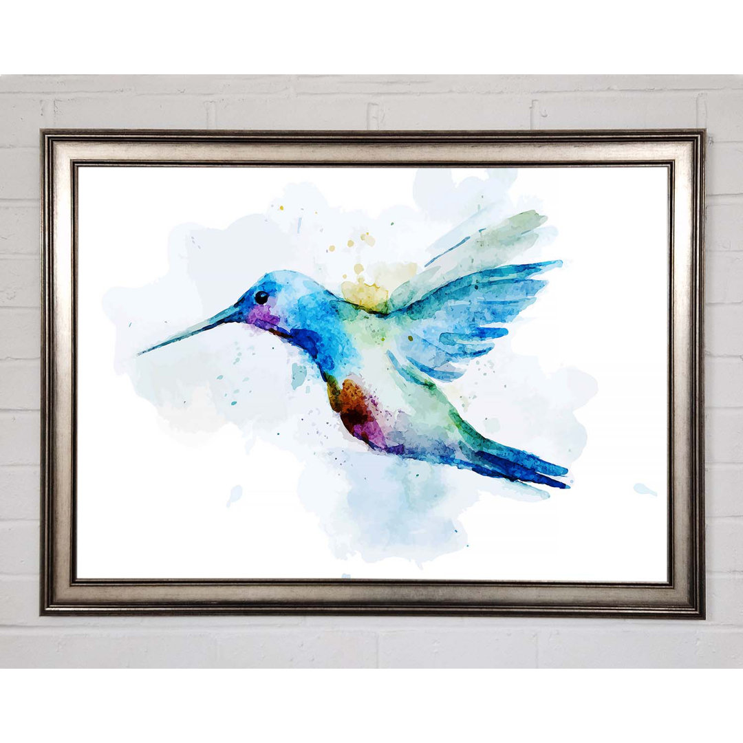 Hummingbird Splash Gerahmter Druck