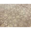 Hand-Knotted High-Quality Beige Area Rug