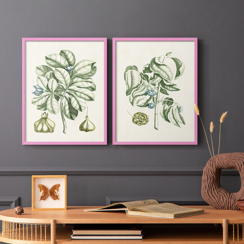 Reproduction encadrée de qualité supérieure Buchoz Tropicals IX - prête à être accrochée, Rose, H 21 po x l 34 po