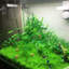 Aquarium artificiel écologique 1 pièce Aquarium