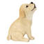 Chiot Labrador jaune